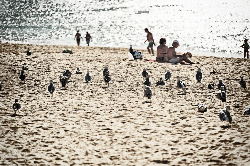 Rosamar Apartamentos Armação de Pêra 外观 照片